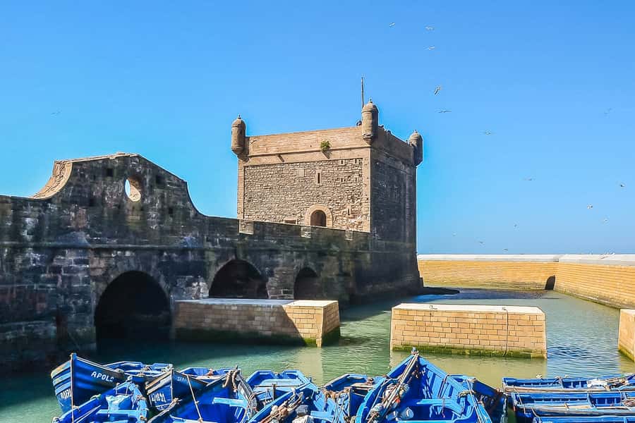 From Marrakech: Essaouira Day Tour with Optional Activities - The beach and the wind: plan for sand, not just sun