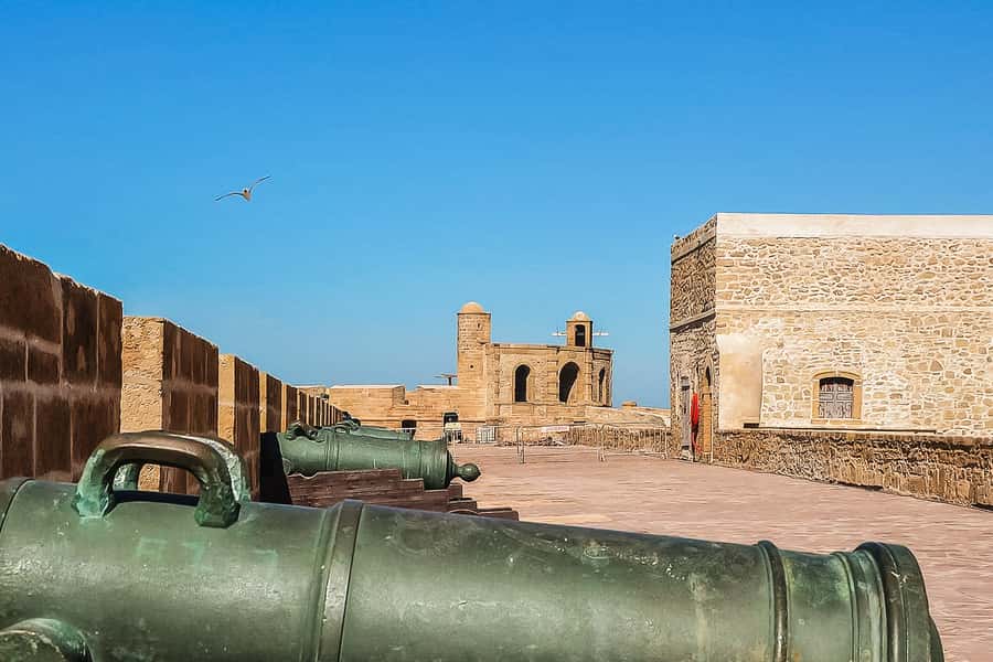 From Marrakech: Essaouira Day Tour with Optional Activities - Price and value: what $21 buys you in real terms