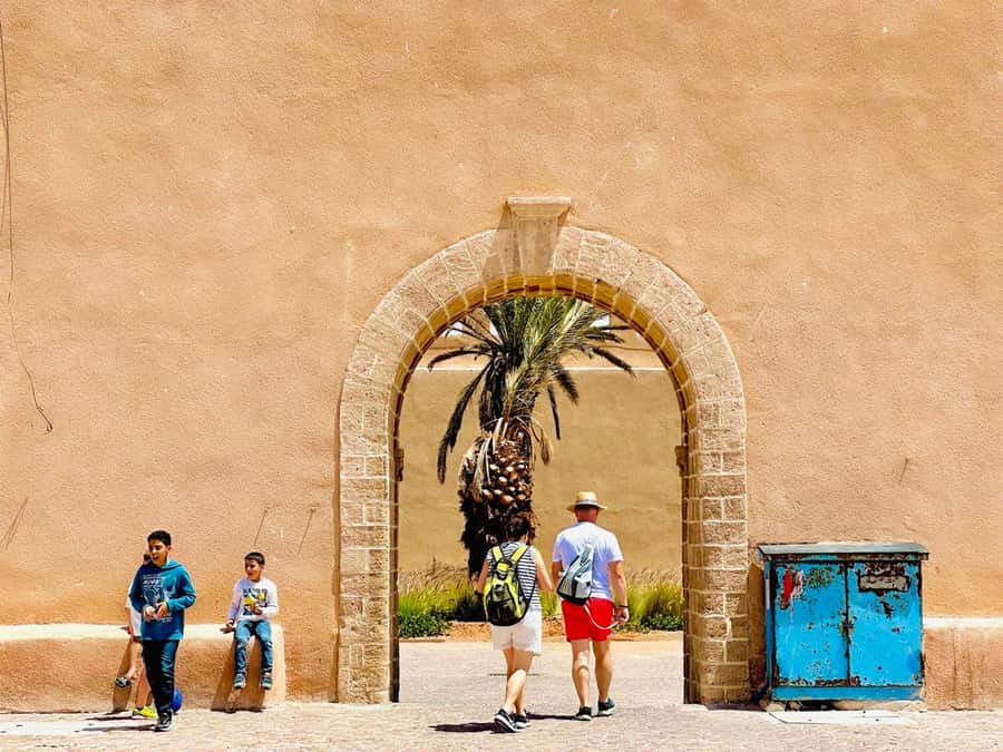 From Marrakech: Essaouira Day Trip with Beach Activities - The Berber Women’s Argan Oil Cooperative: What You Learn and What to Watch For