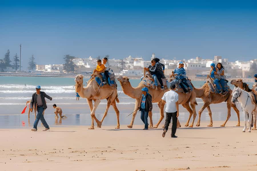 From Marrakech: Essaouira day Trip with camel, horse & quad - FAQ