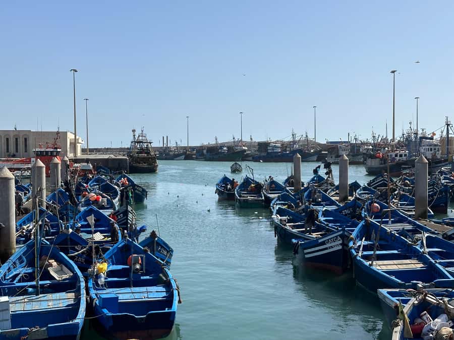 From Marrakech: Essaouira day Trip with camel, horse & quad - Essaouira port and medina: where the day comes alive