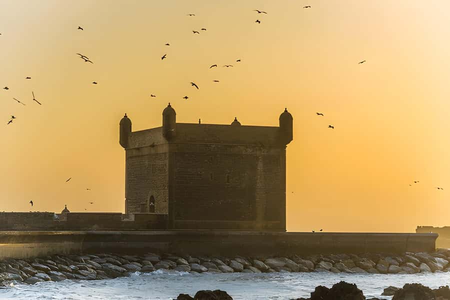 From Marrakech: Essaouira day Trip with camel, horse & quad - Beach time in Essaouira: how to make it worth the trek