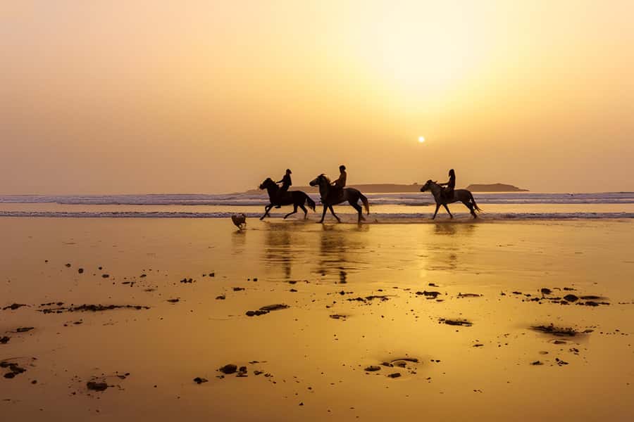 From Marrakech: Essaouira day Trip with camel, horse & quad - Who this trip suits (and who should skip it)