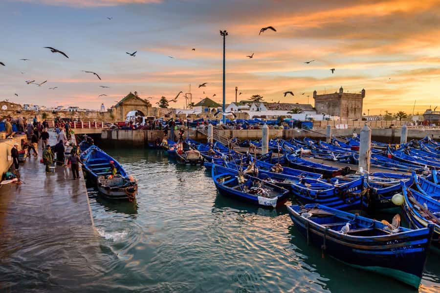 From Marrakech: Essaouira Day Trip with Hotel Pickup - Logistics That Actually Affect Your Day (Pickup, Food, and Timing)