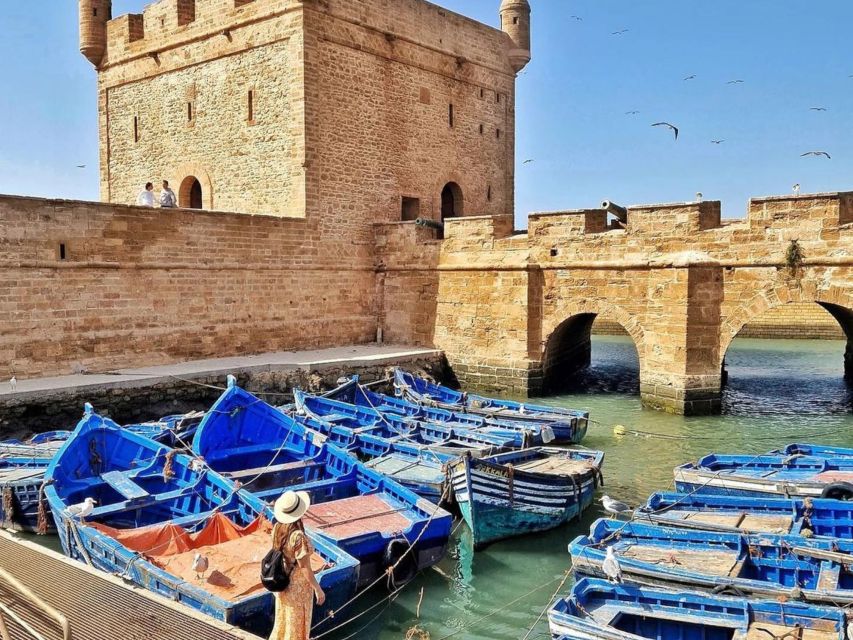 From Marrakech: Essaouira Day Trip with Hotel Pickup - Beach Time, Wind, and the Goat-Trees Reality Check