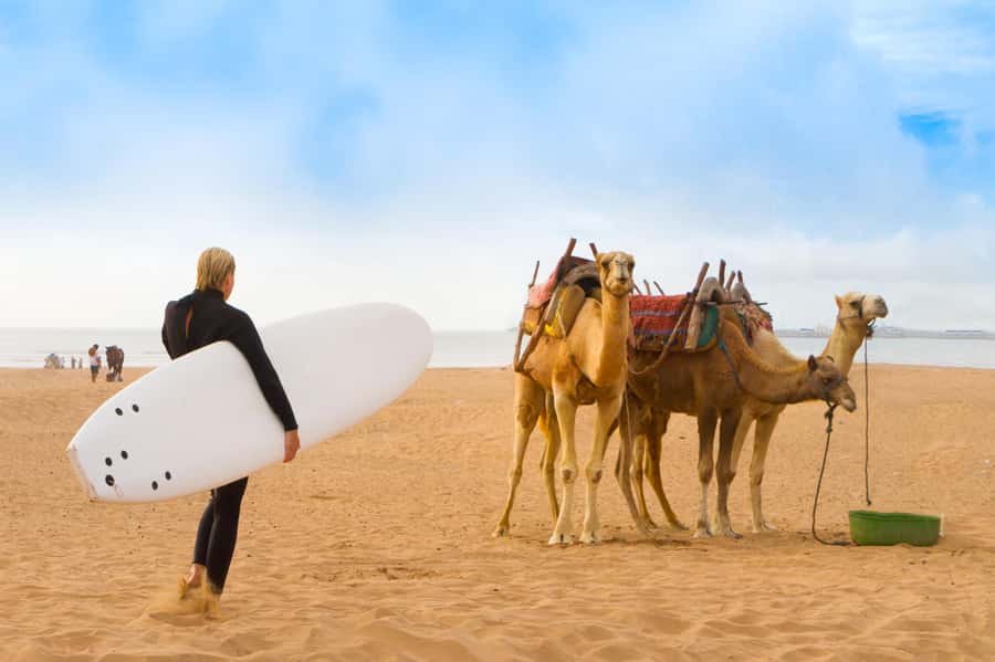 From Marrakech: Essaouira Day Trip with Hotel Pickup - Haouz Plains, Chichaoua Coffee Break, and Argan Forest Scenery