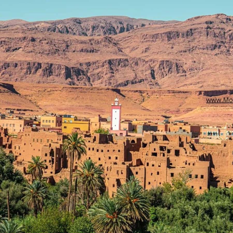 From Marrakech: Ouarzazate & Ait Benhaddou Guided Day Trip - Why This Marrakech Route Feels Different Than Usual Day Trips