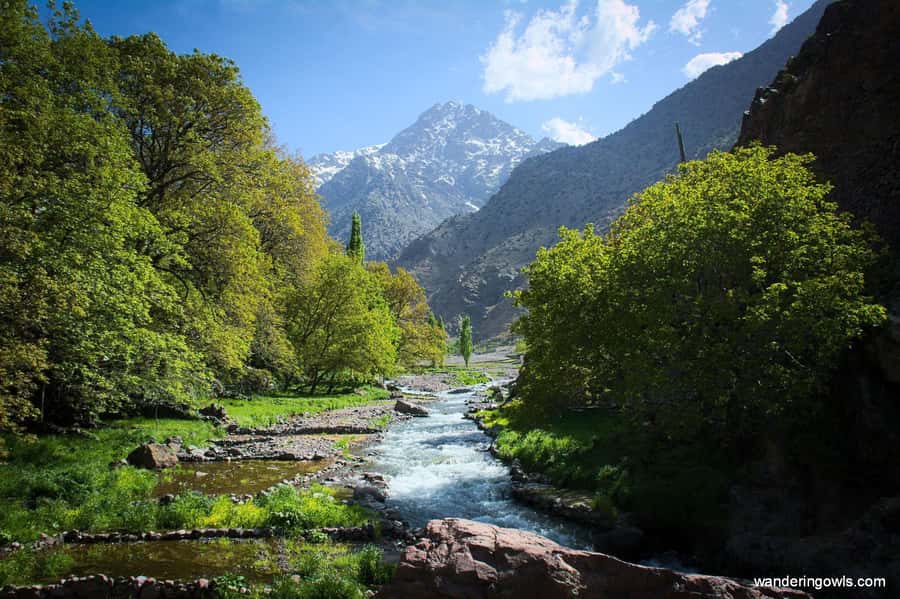 From Marrakech: Ourika Valley Day Trip with Lunch - Ouigrane and Ait Oucheg viewpoints: where the mountains start to feel real