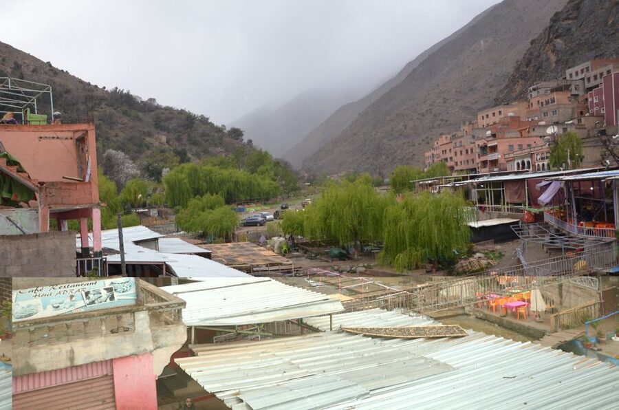 From Marrakech: Ourika Valley Day Trip with Lunch - The women’s argan oil co-operative: buying meaning, not just souvenirs