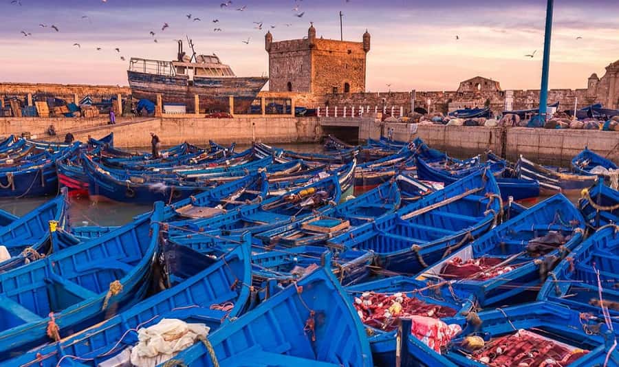 From Marrakech: Small Group to Essaouira & Sekkala Day Trip - Key things to know before you go