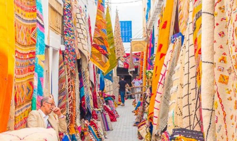 From Marrakech: Small Group to Essaouira & Sekkala Day Trip - Why Essaouira feels different from Marrakech