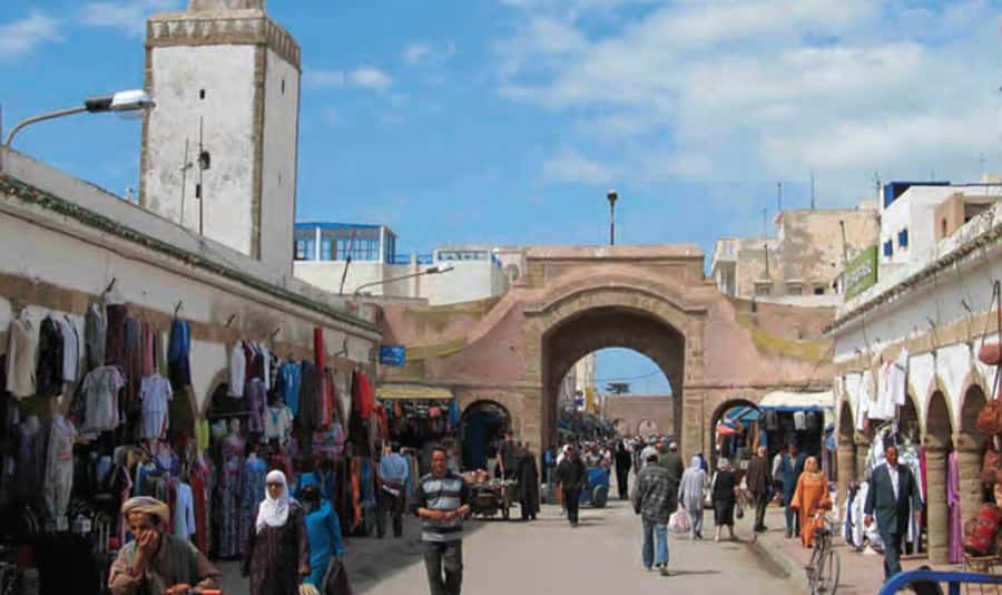 From Marrakech: Small Group to Essaouira & Sekkala Day Trip - Who this Essaouira day trip suits best