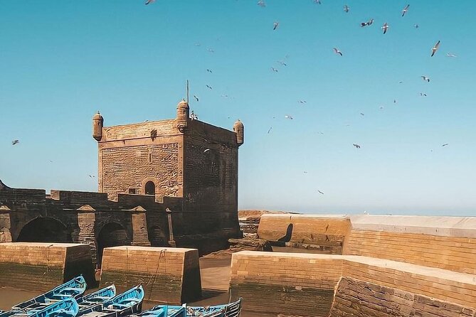 From Marrakech To Essaouira Mogador Full Day Trip | Small-group - Medina Time: Roaming the Old Lanes at Your Pace