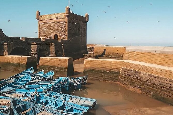 From Marrakech To Essaouira Mogador Full Day Trip | Small-group - Price and Value: Why This One Costs So Little