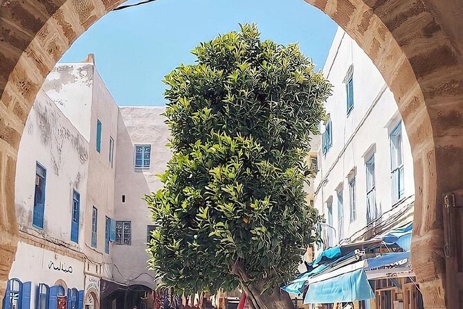From Marrakech To Essaouira Mogador Full Day Trip | Small-group - Who This Tour Is Best For