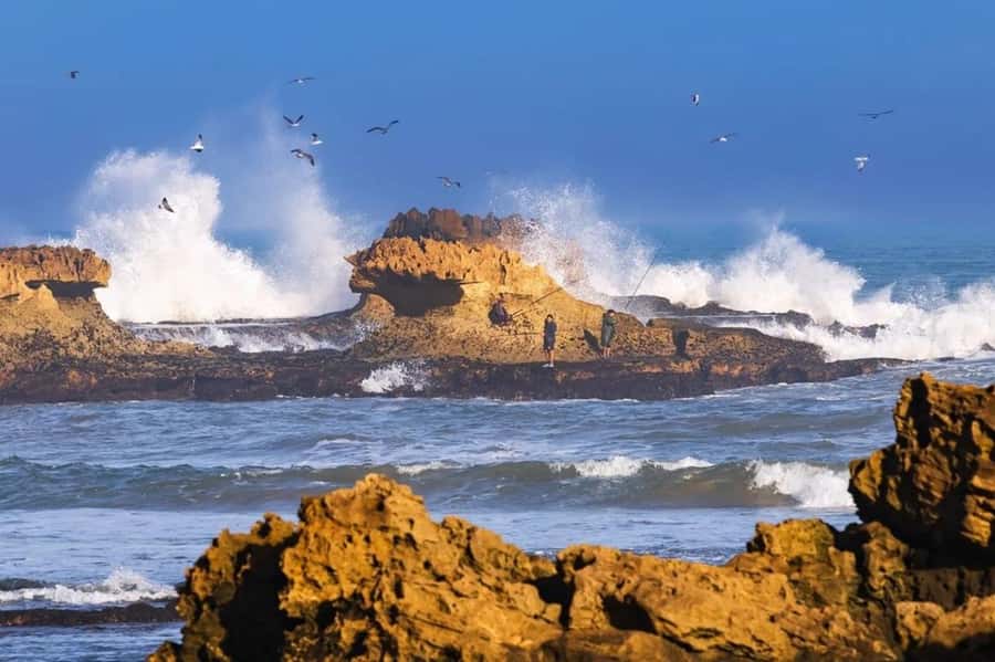 From Marrakech To Essaouira Mogador Full Day Trip Smallgroup - Sidi Mokhtar and the little breaks that keep you sane