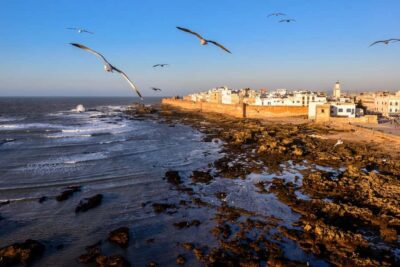 From Marrakech To Essaouira Mogador Full Day Trip Smallgroup - Argan-tree stop: photos, oil talk, and why it’s more than a souvenir