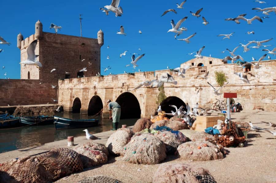 From Marrakech To Essaouira Mogador Full Day Trip Smallgroup - Who should book this Marrakech to Essaouira day trip?