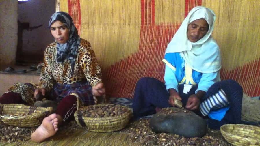 From Marrakesh: Essaouira Day Trip - Drivers and the human part of the day
