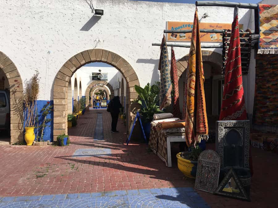 From Marrakesh: Essaouira Day Trip - Pickup, van segments, and rest breaks that matter