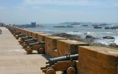 From Marrakesh: Essaouira Day Trip - Argan Oil Cooperative: what you’re actually paying for