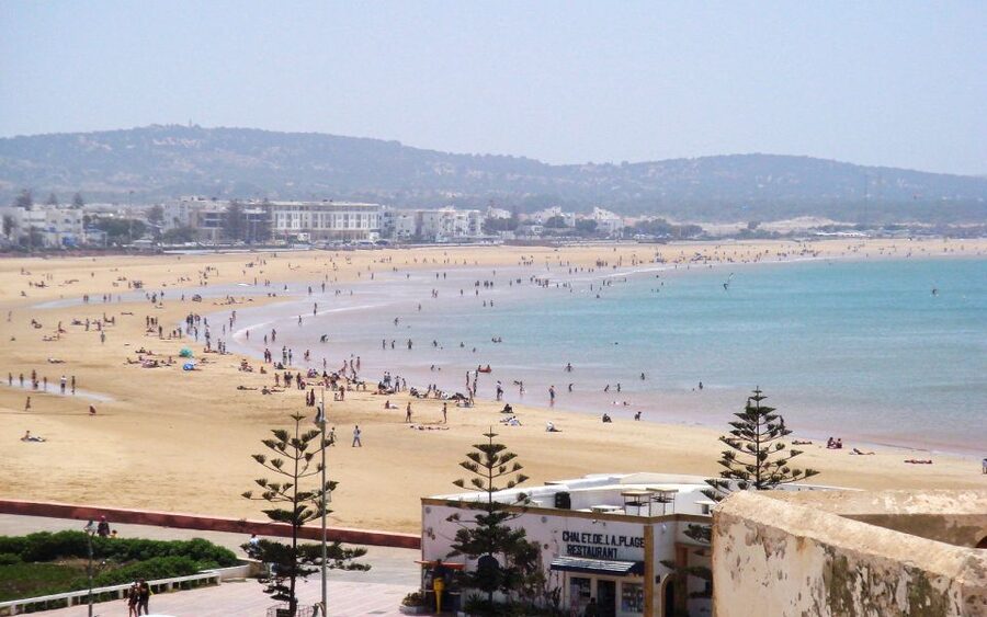 From Marrakesh: Essaouira Day Trip - Seafood lunch and timing: what to do since food isn’t included