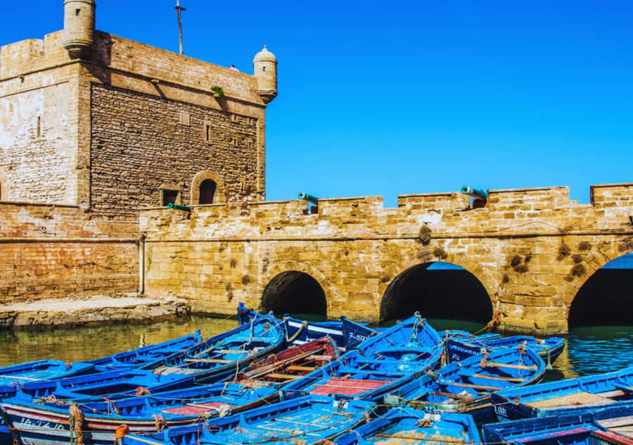 From Marrakesh: Essaouira Full-Day Trip - Why Essaouira Day Trips Feel Worth It