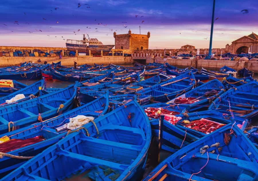 From Marrakesh: Essaouira Full-Day Trip - From Marrakesh to Mogador: the feel of this one-day reset