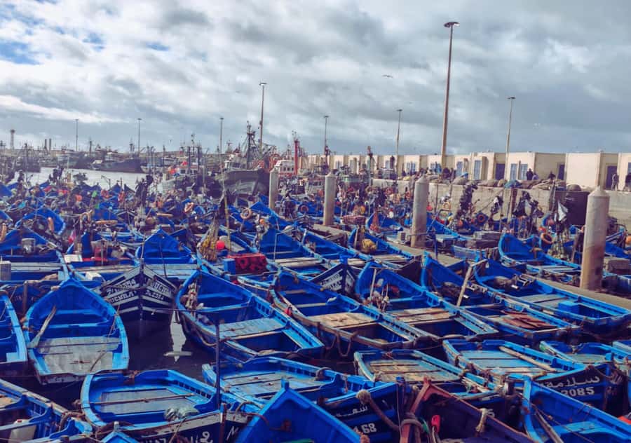 From Marrakesh: Essaouira Full-Day Trip - Women’s argan cooperative: how the oil becomes food and beauty
