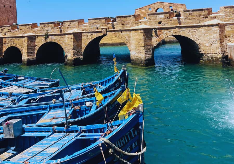 From Marrakesh: Essaouira Full-Day Trip - Essaouira’s port and medina: how to spend your self-guided time