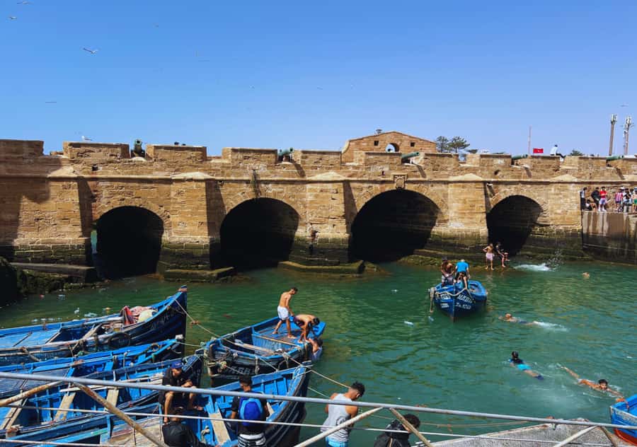 From Marrakesh: Essaouira Full-Day Trip - The beach hour: why Essaouira feels cooler and windier