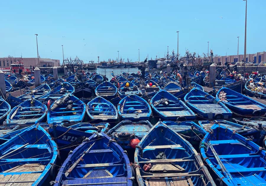 From Marrakesh: Essaouira Full-Day Trip - Best for who? Who will love this trip most