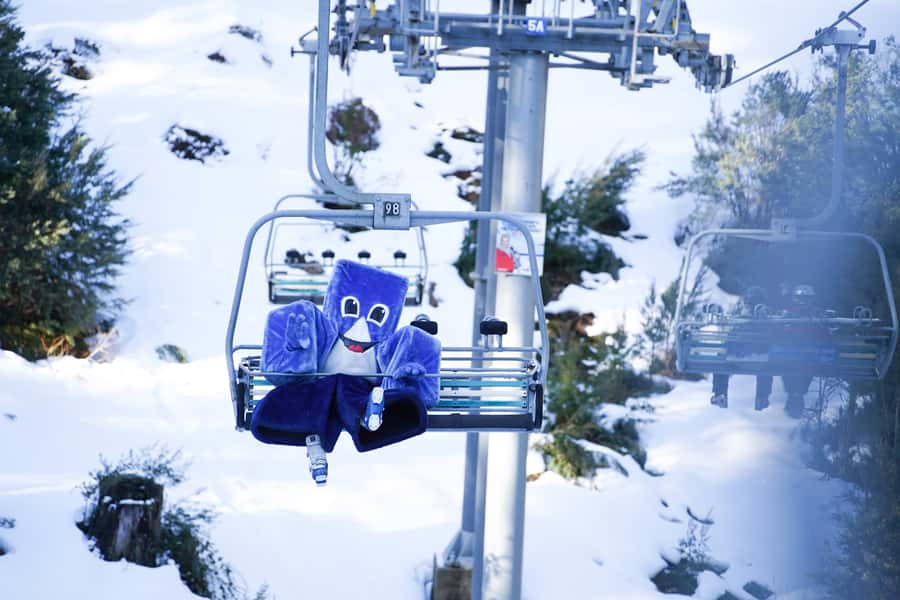 From Melbourne: Day Trip to Mt Buller by Premium Tour Coach - Key Things I Think You’ll Care About