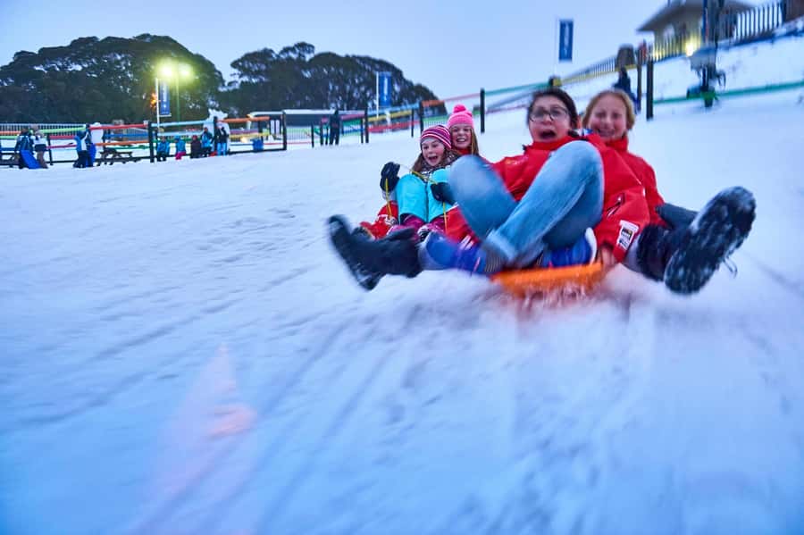 From Melbourne: Day Trip to Mt Buller by Premium Tour Coach - Southern Cross Pickup: The One Place You Need to Find Fast