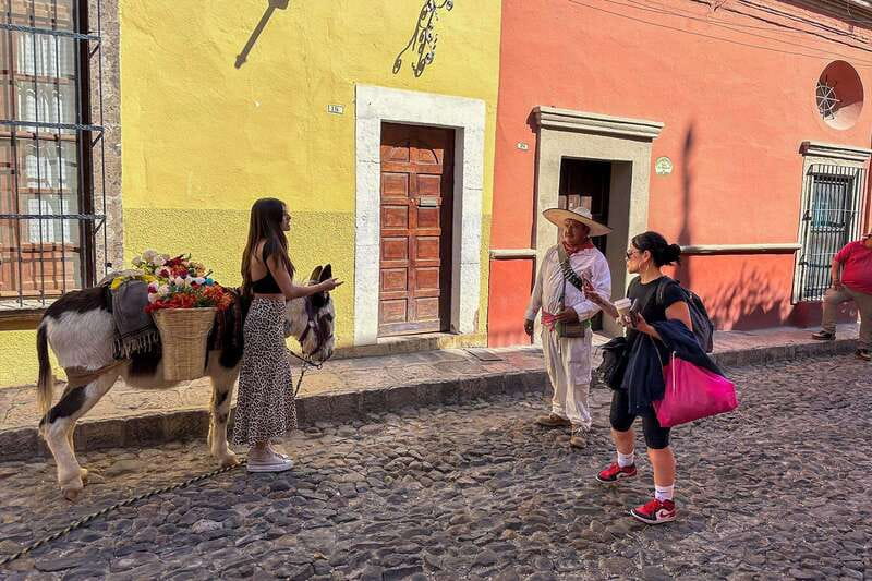 From Mexico City: San Miguel de Allende Day Trip - Getting picked up at 5:30 AM and the ride rhythm you’ll feel