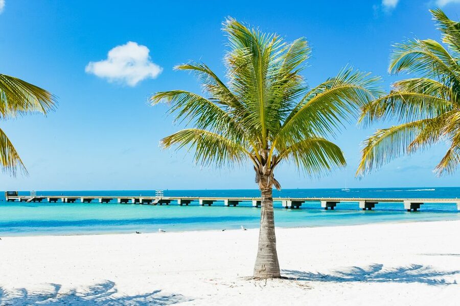 From Miami: Key West Day Trip - Miami to Key West: Why This Trip Feels Like a Change of Country