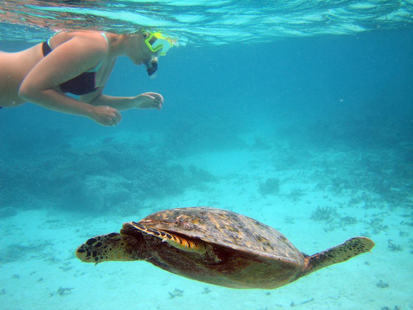 From Miami: Key West Day Trip - Pickup Points in Miami: Multiple Options, One Need to Confirm