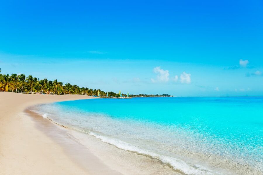 From Miami: Key West Day Trip - Snorkeling in Key West: Great Fun, But Swimming Ability Is Non-Negotiable