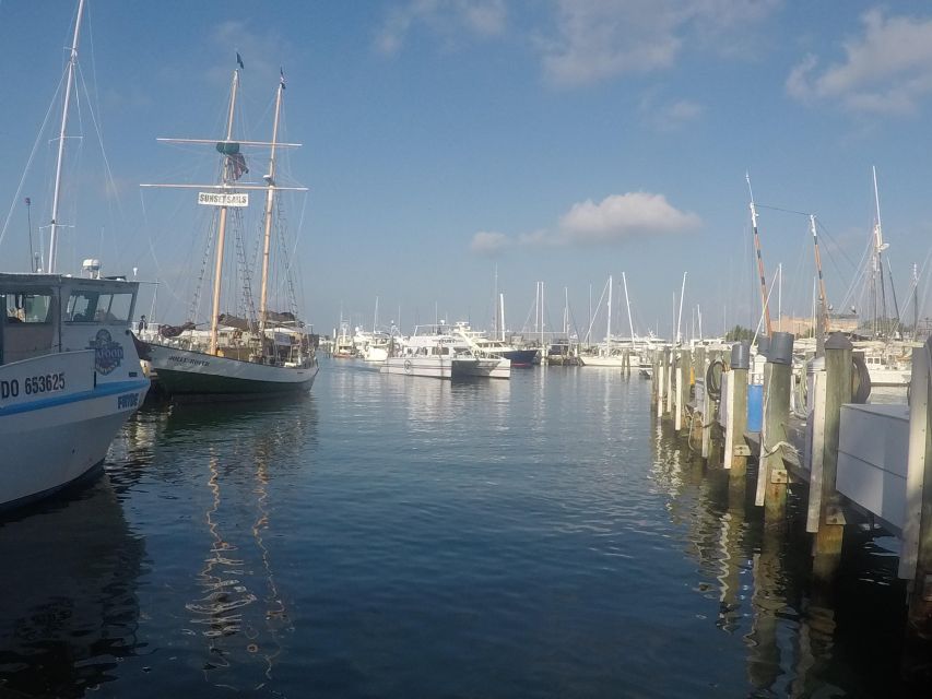 From Miami: Key West Day Trip with Pickup at Selected Hotels - Quick hits from this Key West day trip