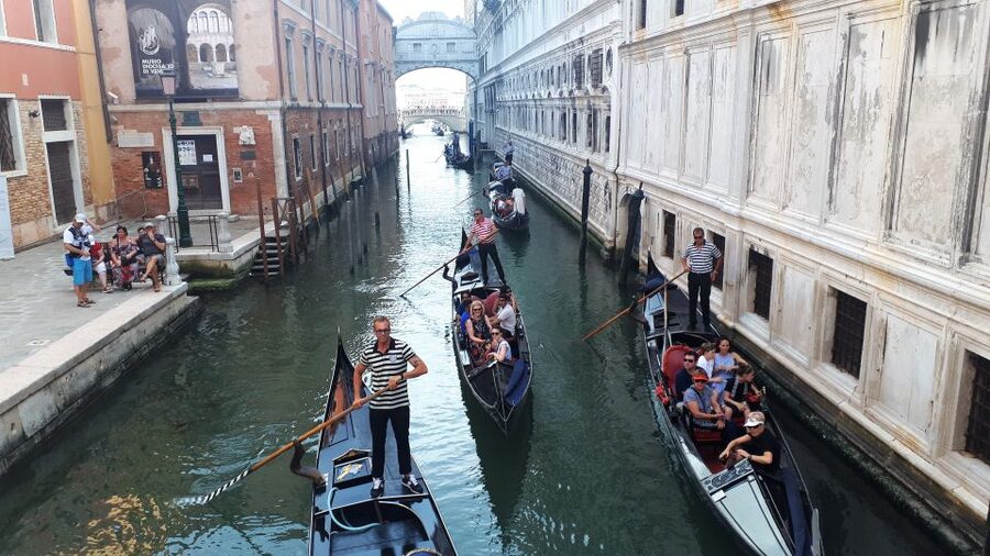 From Milan: Venice City Highlights Guided Day Trip - Key highlights to know before you go