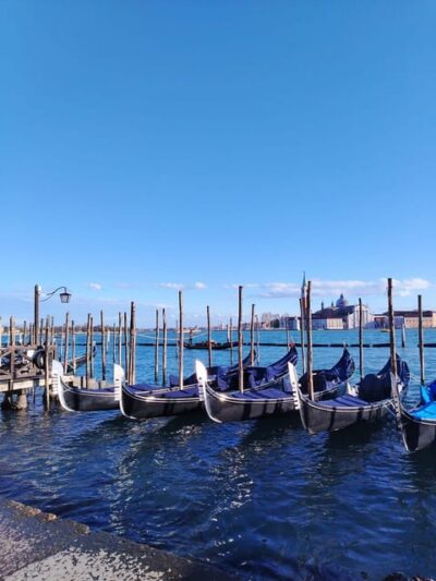 From Milan: Venice City Highlights Guided Day Trip - Starting in Milan: comfort on the bus, then you’re already in motion