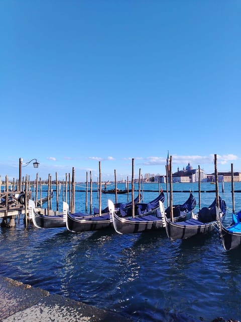 From Milan: Venice City Highlights Guided Day Trip - Starting in Milan: comfort on the bus, then you’re already in motion