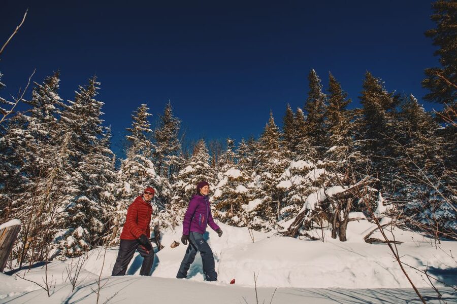 From Montreal: Mont-Tremblant National Park Hiking Day Trip - Chute-aux-rats: river-rail vibes and the summer swim option