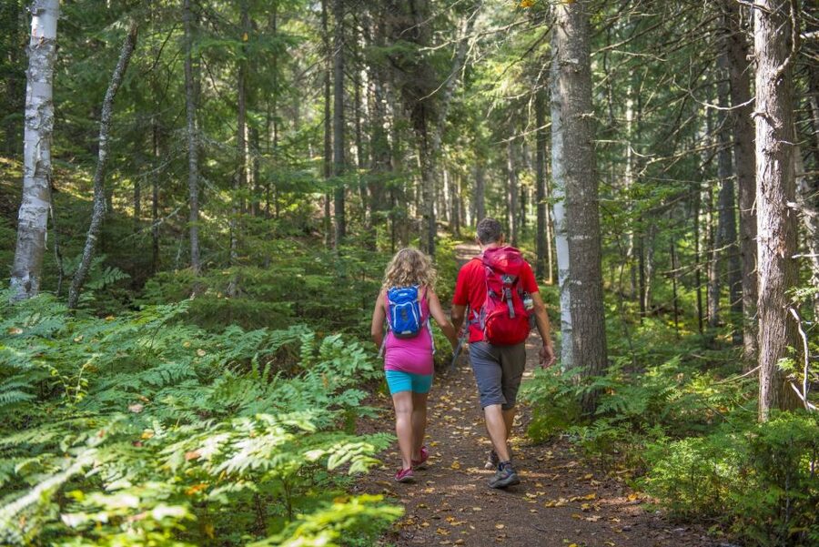 From Montreal: Mont-Tremblant National Park Hiking Day Trip - Timing and pacing: how the full day actually unfolds