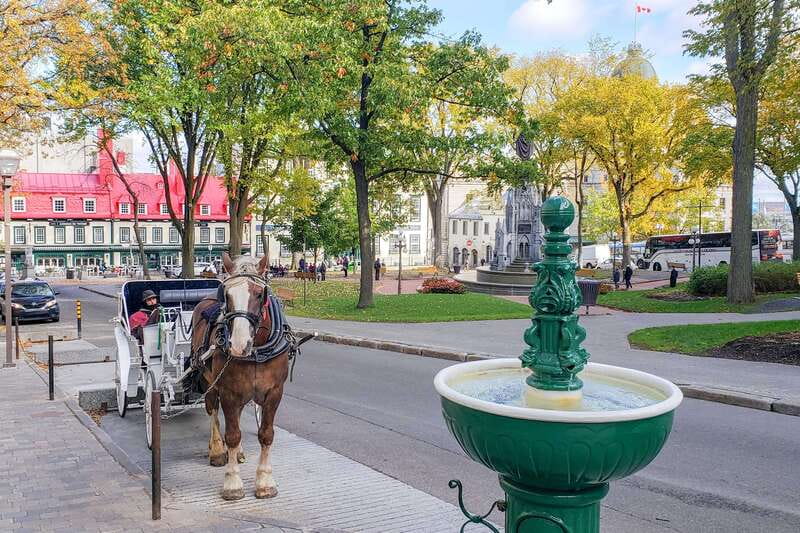 From Montreal: Quebec City and Montmorency Falls Day Trip - Montmorency Falls: The 83-Meter View Stop and How to Handle the Short Timing