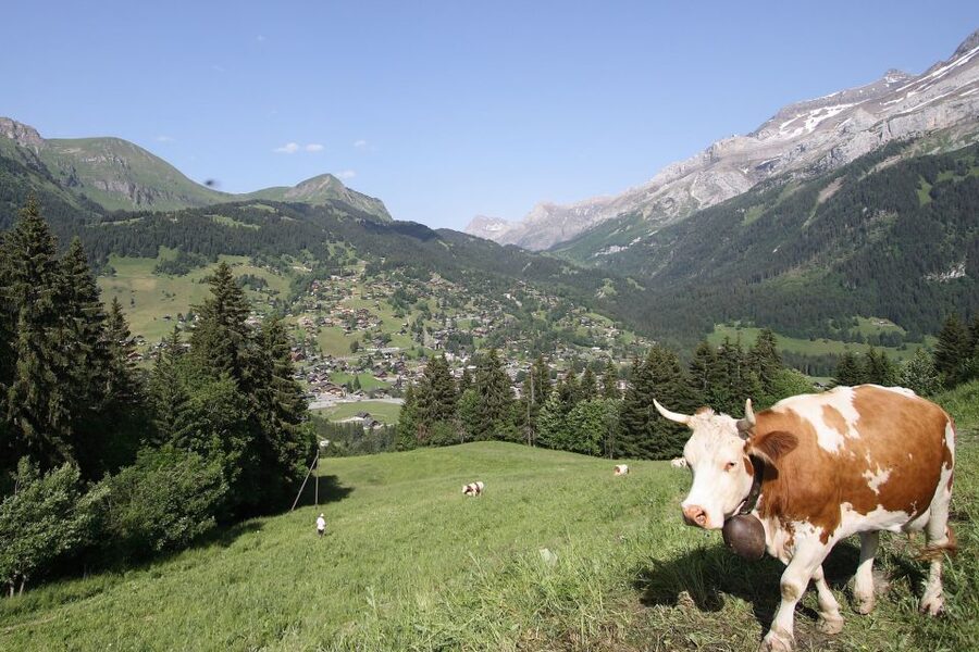 From Montreux: Glacier 3000 Day Trip - Should you book Glacier 3000 from Montreux?