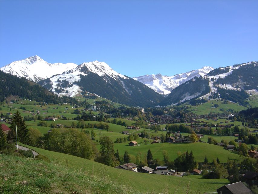 From Montreux: Glacier 3000 Day Trip - Cable car timing and the snow-bus option: how to avoid wasting your limited summit time