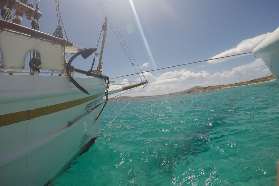 From Mykonos: Delos & Rhenia Islands Half-Day Trip by Boat - Onboard Lunch and Drinks: BBQ Right After the Swim