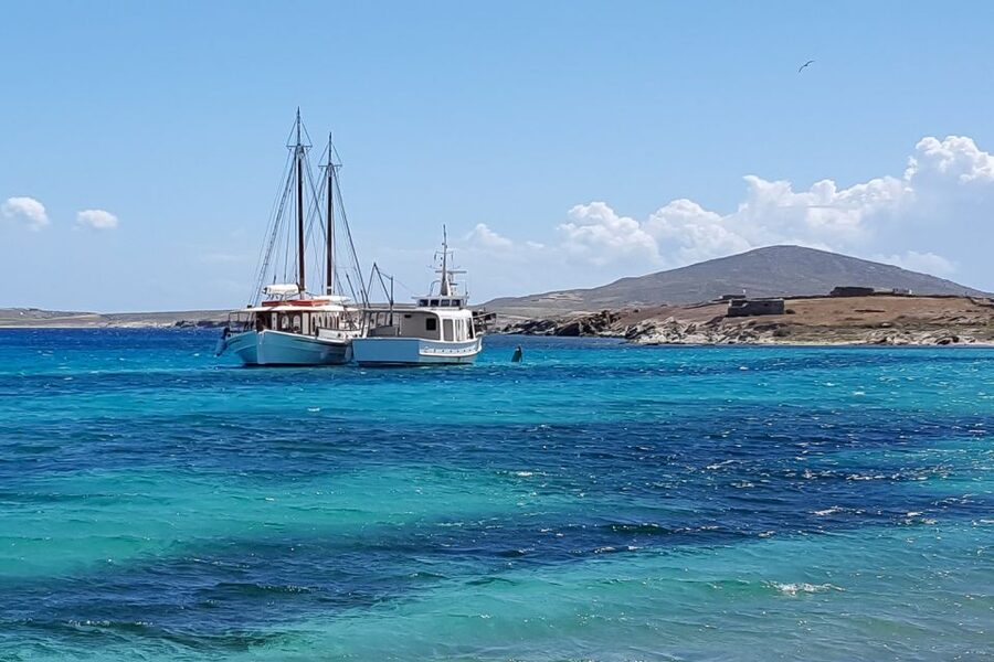 From Mykonos: Delos & Rhenia Islands Half-Day Trip by Boat - The Boat Ride Atmosphere: Friendly Crew and a Dance-Party Return