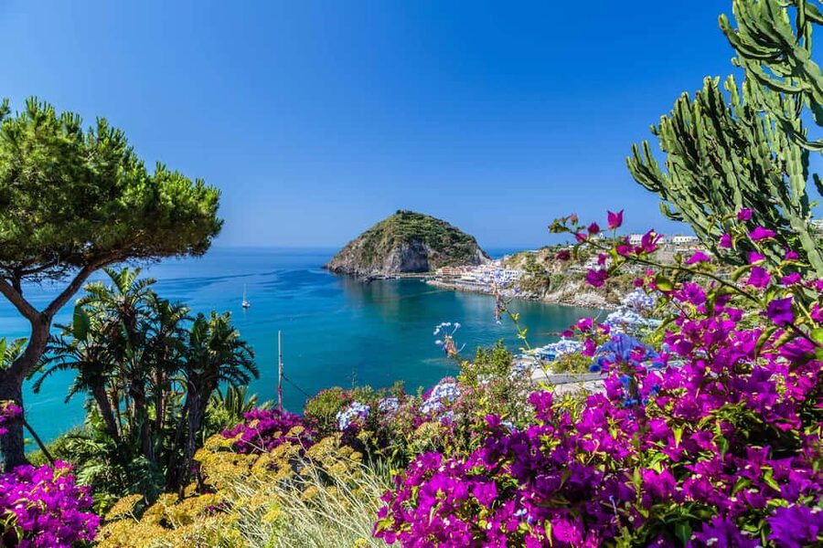 From Naples: Amalfi Coast Day Trip with Sorrento & Positano - Sorrento Free Time Plus a Limoncello Stop: What You’ll Actually Do with 80 Minutes